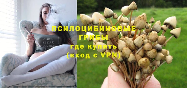 ешки Костерёво