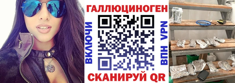 Галлюциногенные грибы GOLDEN TEACHER Купить Сусуман